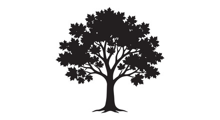 Fototapeta premium Black Silhouette Of A Maple Tree Against A White Background