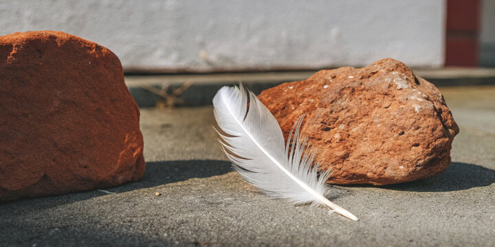 Strength in simplicity with a white feather lying between the rocks