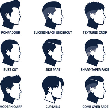 Men trendy hairstyles and haircuts chart vector illustration side profile silhouette view showing pompadour undercut textured crop buzz cut taper fade quiff curtains comb over