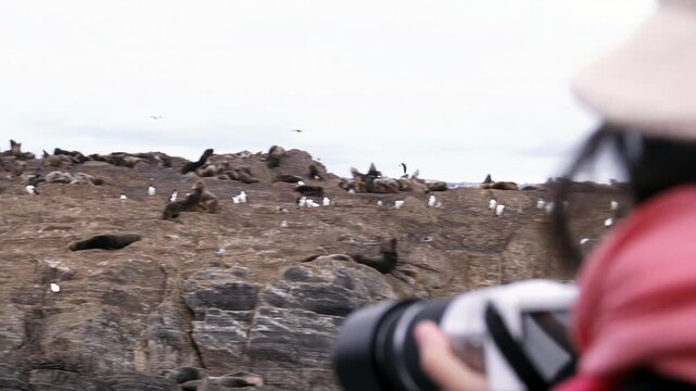 Over The Shoulder View Of Photographer Shooting Wildlife On Rocky Island - 4K