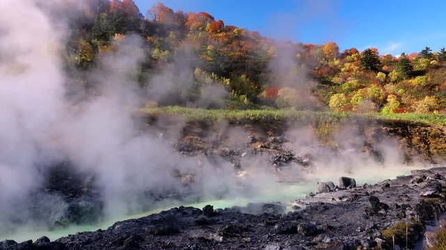 玉川温泉の噴煙（源泉流）と紅葉
