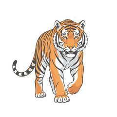Obraz premium Graphic illustration of a majestic tiger walking towards the front view shot.