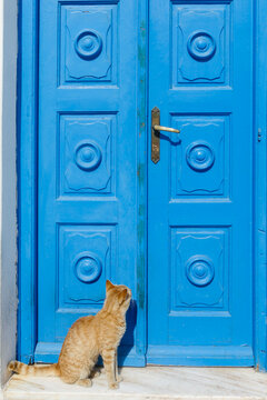 Cat Sitting by Blue Door in Greece
