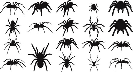 Halloween spider set icons. Silhouette of black insect icon. Vector holiday october poster, flat horror © Nazma