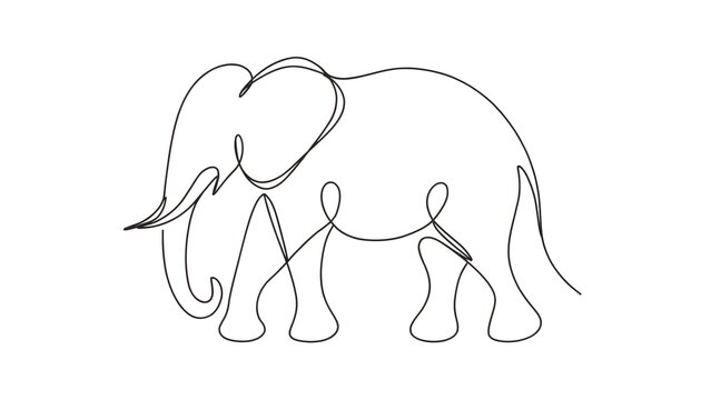 Simple black and white elephant line drawing vector illustration