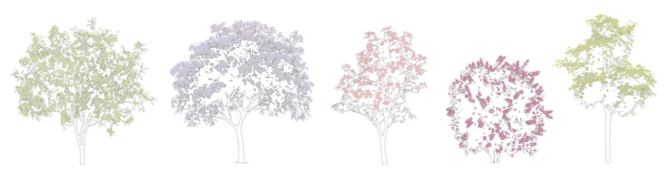 Set of colorful spring flowering trees for use in architectural drawing  - isolated on transparent background 