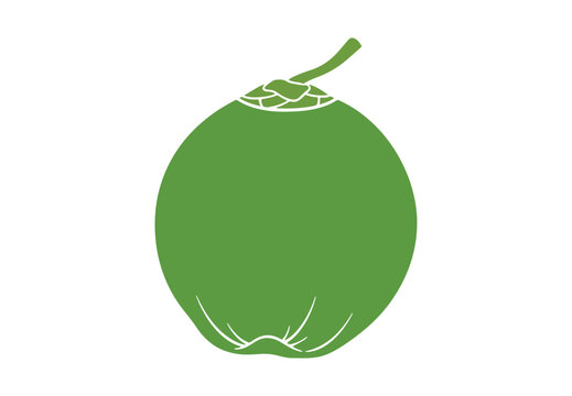 Natural young coconut vector with fresh organic appeal.