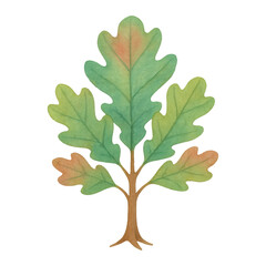 Fototapeta premium PNG Watercolor oak tree illustration