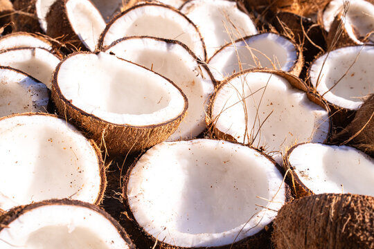 High-angle view of halved brown coconuts drying in the sun. Fresh organic copra production process for oil and food industry, showcasing natural white coconut meat texture and tropical agriculture