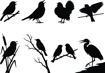 Obraz premium Collection of Bird Silhouettes Showing Various Species Perched and Singing Isolated on White Background