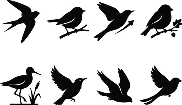 Collection of Bird Silhouettes Set Featuring Flying and Perching Songbirds Isolated on White Background