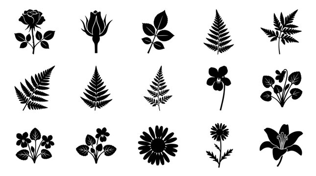 Set of various black silhouette floral elements, flowers, leaves, and ferns, isolated botanical illustrations for design