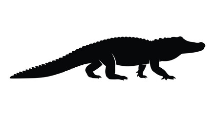 Fototapeta premium Alligator Silhouette On White Background Reptile Shape Illustration