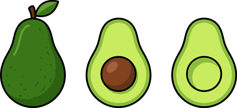 Fresh Avocado Vector Element Set Featuring Whole Fruit with Leaf Half Avocado with Seed and Sliced Pitless Avocado on White Background