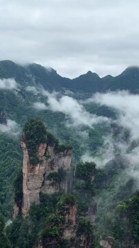 Avatar mountains landscape with limestone pillar formation and forest in Zhangjiajie Wulingyuan National Forest Park. Misty clouds covering high peaks. Travel destination, nature exploration concept.