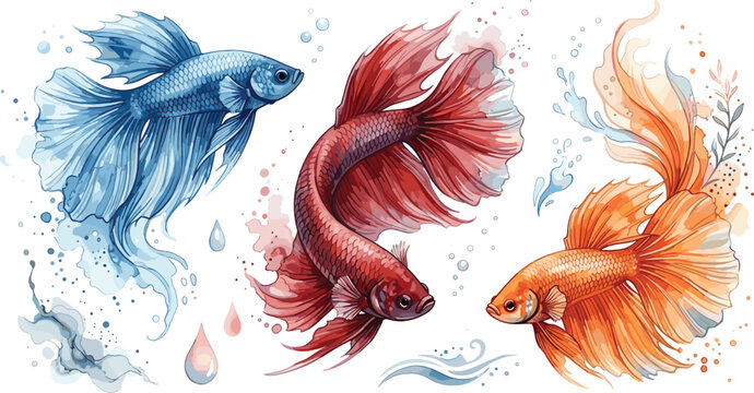 Watercolor betta fish collection with flowing fins, colorful Siamese fighting fish and aquatic animal vector illustration artwork set