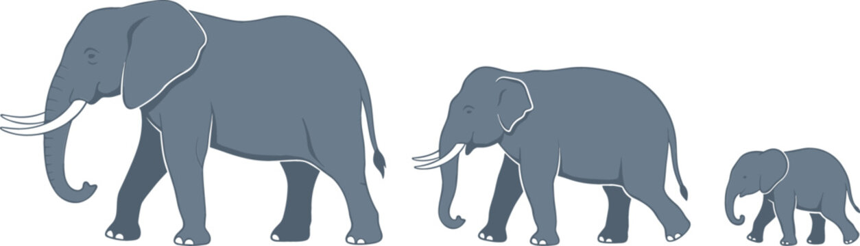 African Elephant Family Vector Character Set Featuring Large Adult Bull Cow with Tusks and Cute Little Baby Calf Walking Isolated on White