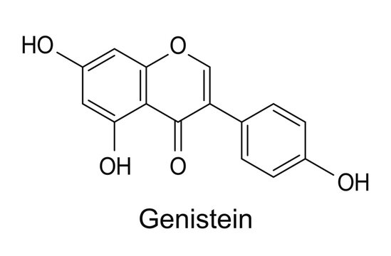 Genistein chemical formula, molecule structure isolated on white background
