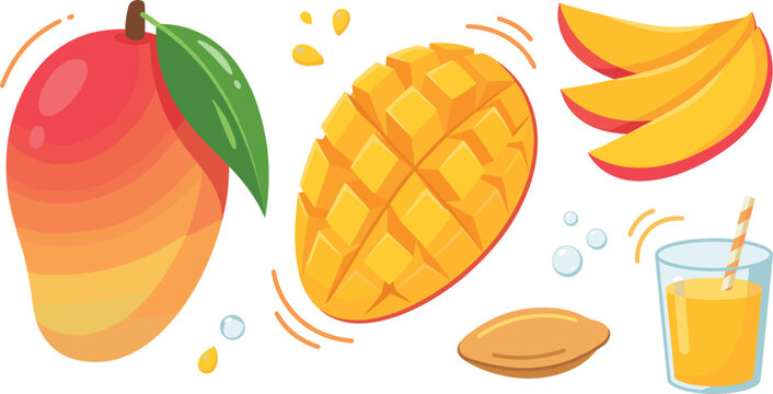 Vector mango illustration set featuring whole ripe fruit diced half fresh slices seed pit and juice glass isolated on white background