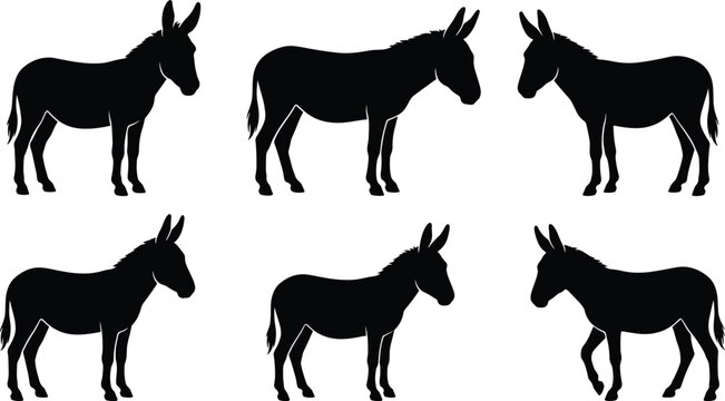 Donkey silhouette icon set showing farm animal mules standing and walking from different angles isolated on white background vectors