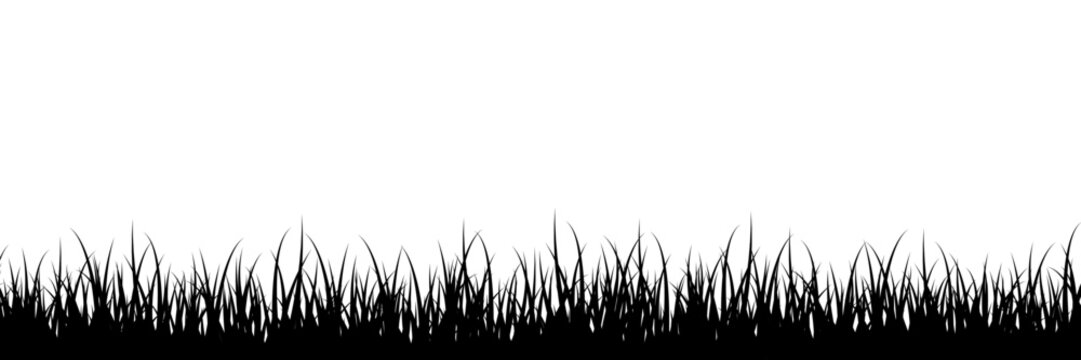 Grass silhouette isolated on white background. Natural meadow border for ecology, gardening, landscape. Eco friendly design. Spring and summer carpet. Vector illustration.