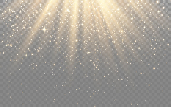 Gold glitter background with sparkling light rays. Glowing particles and luxury golden effect on transparent backdrop. Elegant festive overlay for celebration or holiday design. Vector illustration.
