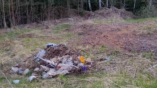 There is a lot of debris and old car tires in the wooded area. Environmental pollution, recycling of waste and materials. An environmental problem.