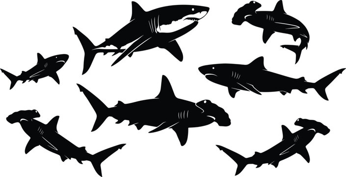 Shark silhouette icon set featuring great white and hammerhead sharks swimming underwater marine wildlife animal vectors