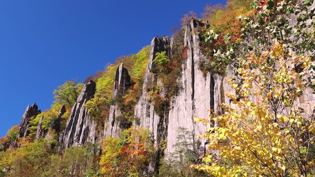 天人峡（七福岩）の紅葉