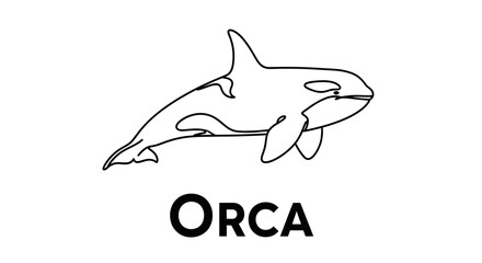Orca One Line Vector Illustration © anjel