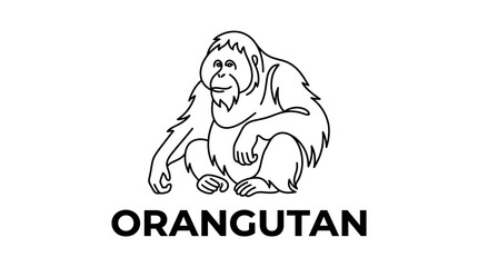 Orangutan Line Art Illustration © anjel