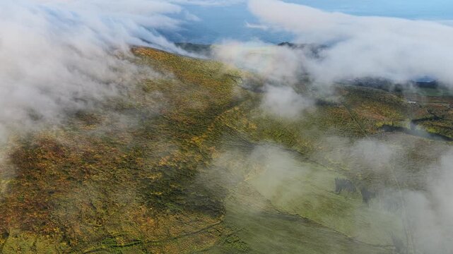 Aerial view of the lush green hills and rolling terrain of Flores Island partially obscured by low-hanging clouds in the Azores, Portugal.