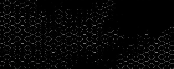 Net texture pattern on white background. Net texture pattern for backdrop and wallpaper. Realistic net pattern with black squares. Geometric background, vector Eps10 © Aluna