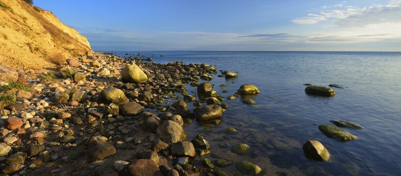 Cliffs and boulders on the coast of the Baltic Sea in the evening light, Reddevitzer H&ouml;ft, M&ouml;nchgut peninsula, R&uuml;gen island, Mecklenburg-Western Pomerania, Germany
