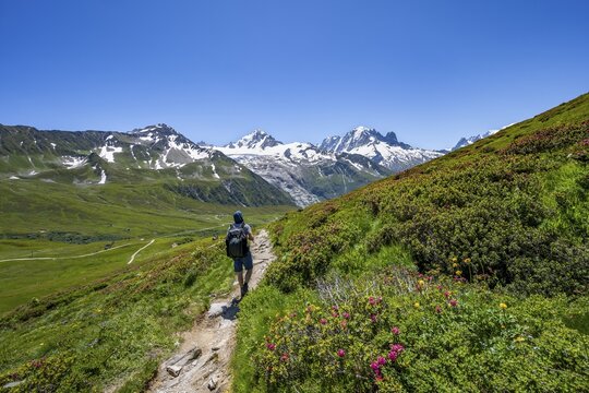 Mountaineer on hiking trail near the Col des Posettes, mountain panorama with glaciated peaks, Aiguille Verte and Glacier du Tour, Chamonix, Haute-Savoie, France