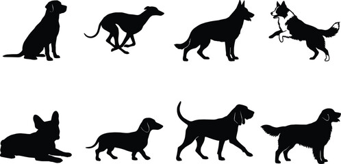 Obraz premium Vector silhouette collection of various dog breeds sitting, running, standing, and playing on white background