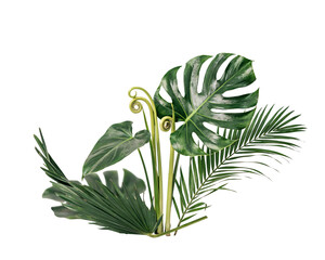 Tropical green leaves arrangement on isolated on png transparent background isolated on a transparent background © PNG Studio 99