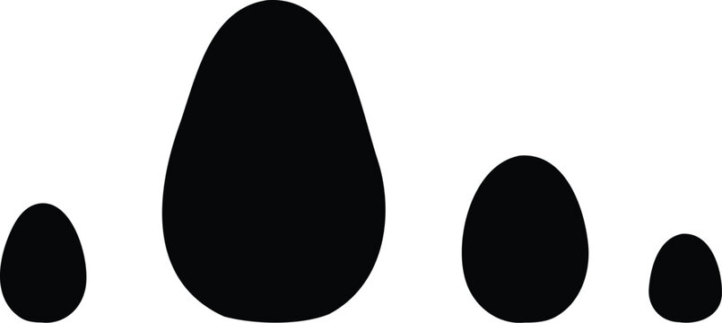 Eggs appear in a row of varying size formats.