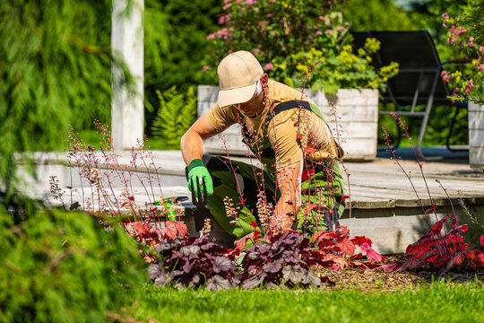 Gardener works in a flower bed during sunny day in a backyard setting