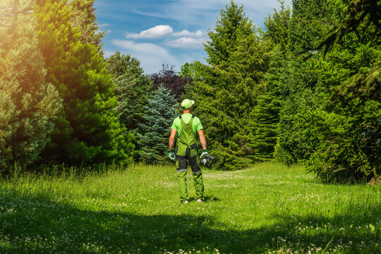 Gardener working in park with trees and grass on sunny day
