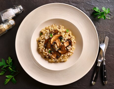 italian food risotto ai fungi porcini on plate on a table top overhead view