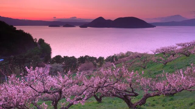 壮瞥公園の梅林の夕景と中島