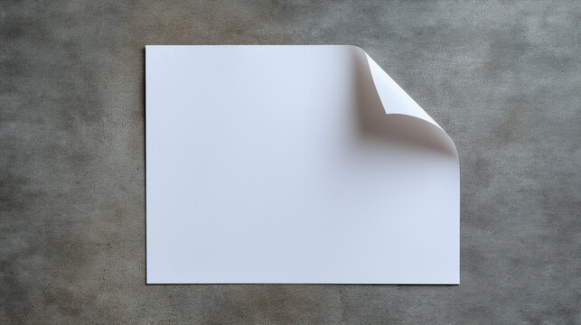 Blank Page with a Curled Corner on Textured Surface: A crisp, white square sheet of paper with one corner gently curled upwards rests on a subtly textured grey surface.