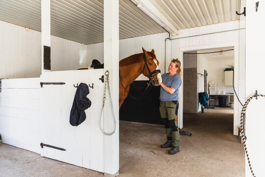 Woman Adjusting Bridle on Chestnut Horse in Stable