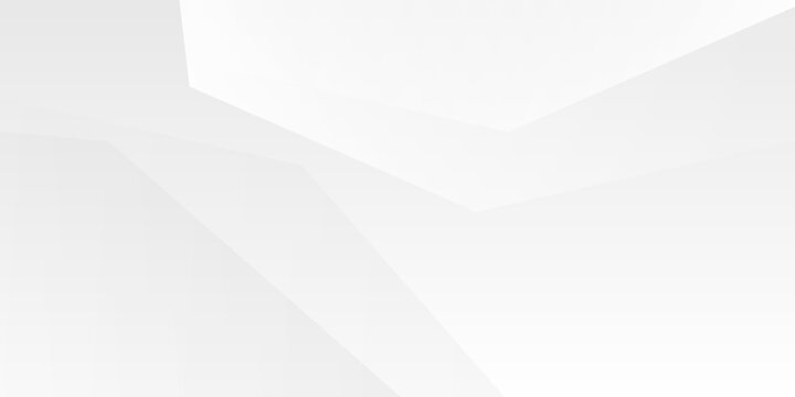 Abstract white and gray geometric background. Minimalist low poly vector texture with subtle gradient shapes.