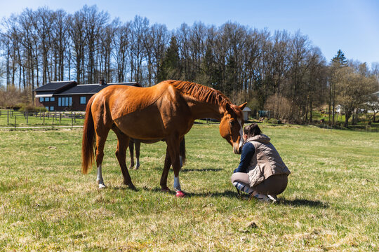Deep Connection Between Woman and Chestnut Horse
