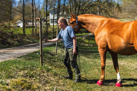 Woman Managing Electric Fence on Horse Farm