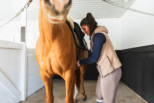 Woman Tightening Girth on Saddled Horse