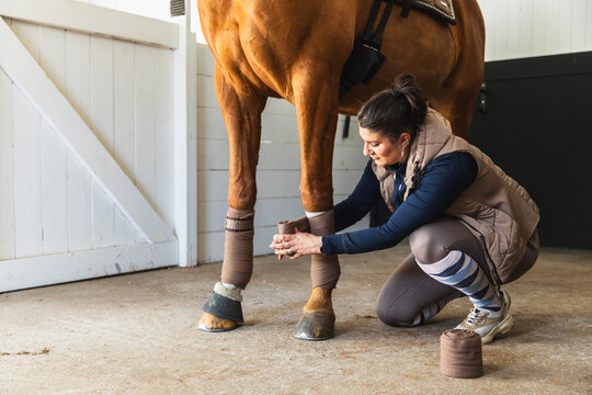 Close-up of Hand Wrapping Horse Leg