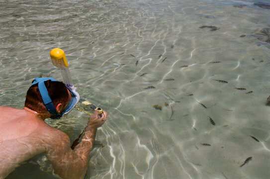Snorkeling to explore marine life